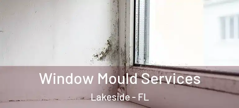  Window Mould Services Lakeside - FL